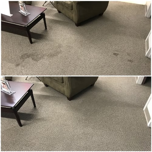 Carpet-spot-pics